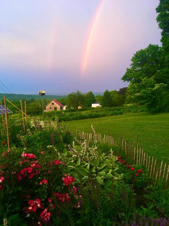 Enfield Manor Bed&Breakfast And Vacation Rental Newfield Eksteriør bilde